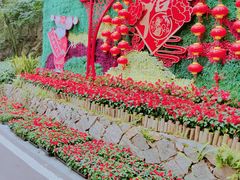 -金鸡山公园