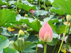 -苏州河梦清园环保主题公园