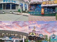 -海合安成都极地海洋公园