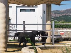 -大青山野生动物园