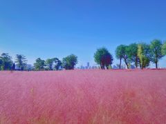 -汉长安城未央宫国家考古遗址公园