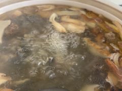 -蘑统田下·野生菌火锅