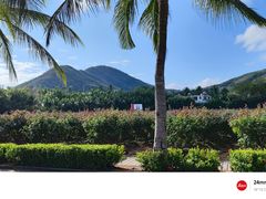 -亚龙湾国际玫瑰谷