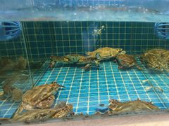 -妈妈菜舟山海鲜(定海古城店)