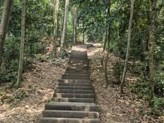 -凤栖山