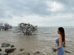 -宝安西湾红树林湿地公园