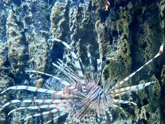 -北戴河圣蓝海洋公园