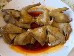 -百利鸽王(紫薇路店)