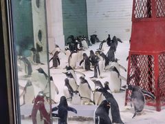 -大连圣亚海洋世界