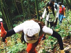 -西岭雪山大飞水景区
