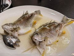 -飞尝蚝·顺德菜·鱼生(顺德总店)