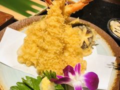 -古田居·特色寿司料理(星之岛旗舰店)
