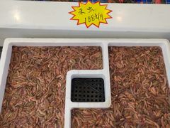 -益利大酒楼(井岸店)