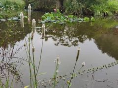 -天芳悦潭度假村温泉
