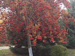 -中国建设银行哈尔滨培训中心