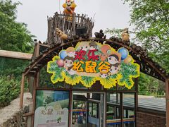 -欢乐松鼠谷