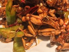 -满堂春特色餐馆