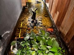 -邈墨茶馆(凤起路店)