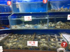 水产区-张树军海鲜(王府壹号店)