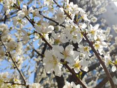 -李叔同故居纪念馆