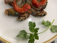 -吴记富苑(朝阳店)