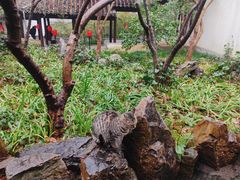 -惠山古镇·寄畅园