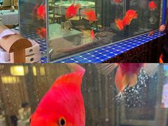 -原鄉本味 楚菜 丹江口鱼(北苑店)