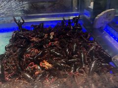 -和谐号海鲜烤肉火锅自助餐厅(车城万达店)