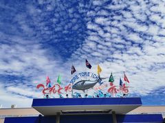 -海鮮寿司とれとれ市場