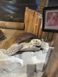 -酷嗒动物文化乐园(cutezoo西溪乐天城店)