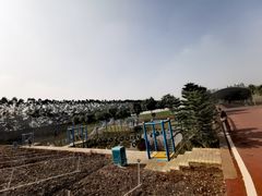 -迪茵湖田家舍生态农场