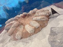 -大同煤炭博物馆