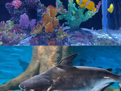 -秦皇岛新澳海底世界