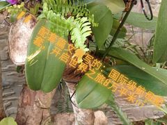 -楚天美食坊(越秀先烈中路店)