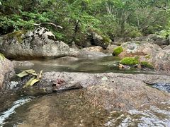 -玉渡山自然风景区