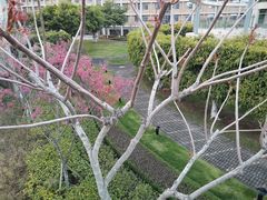 -厦门国家会计学院