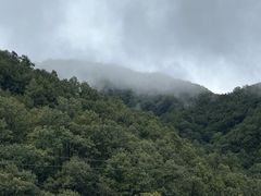 -栾川竹海野生动物园
