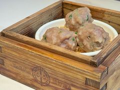 山水牛肉球-添好运(武商MALL店)