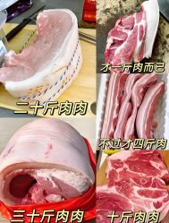 -Fundi张玉珊修身堂·indiba·BTL科技瘦身