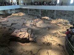 -自贡恐龙博物馆