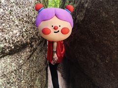 -汤旺河林海奇石景区
