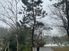 -常德桃花源景区