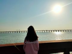 -宝安西湾红树林湿地公园