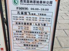 -西双版纳原始森林公园