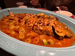-阿五黄河大鲤鱼(建业路店)