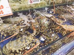 -东江海鲜酒家(艺都分店)