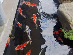 -贵阳高新惠诚食品有限公司