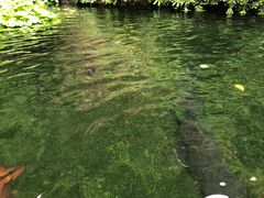 -洋湖国家湿地公园