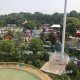 娃的必打卡地来咯