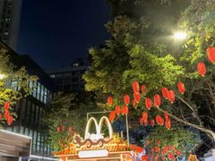 -越秀西湖花市(广州城市广场花卉店)